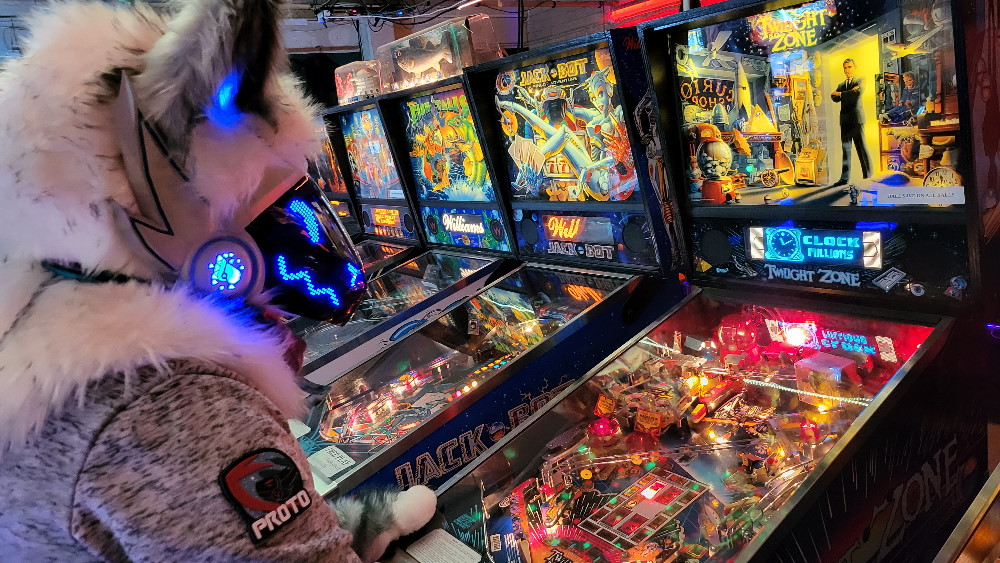 Nolla playing pinball